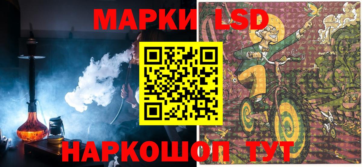 Бошки Шишки Новоалександровск