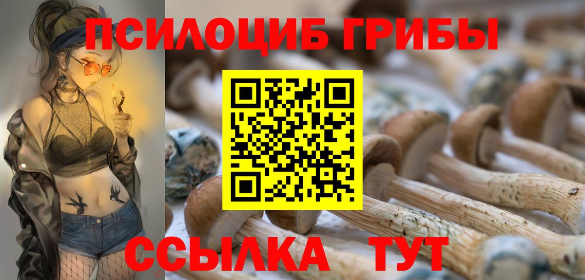 Новоалександровск  Галлюциногенные грибы прущие грибы  магазин продажи наркотиков  Вход с VPN 